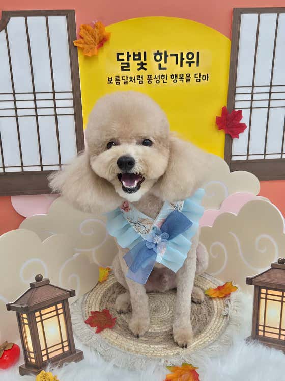 포근포근 · 네이버 지도·플레이스 5