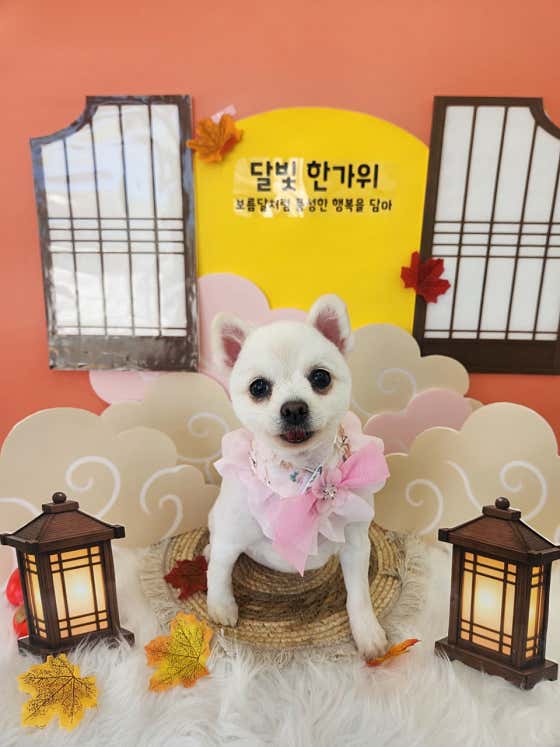 포근포근 · 네이버 지도·플레이스 3