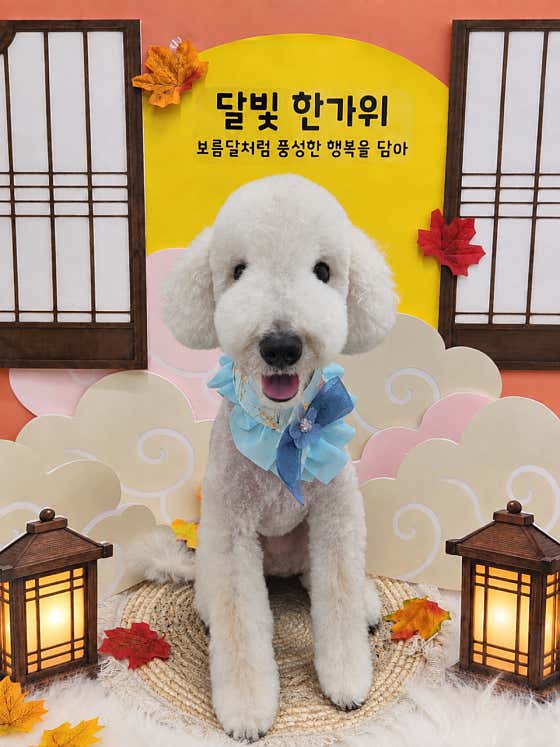 포근포근 · 네이버 지도·플레이스 2