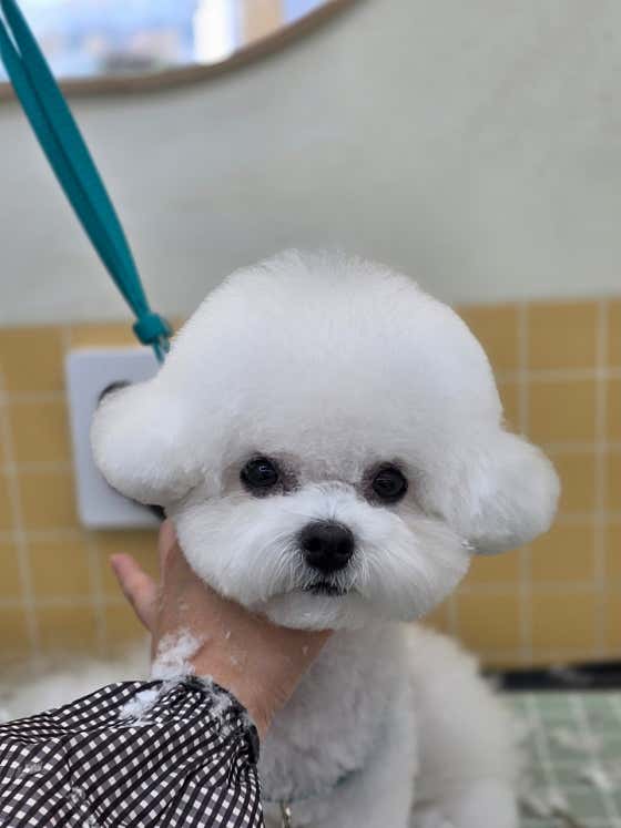 이따봐요 · 네이버 지도·플레이스 4