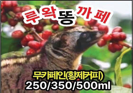 커피 메뉴 사진(네이버)