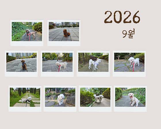 코리 스테이 · 네이버 지도·플레이스 2