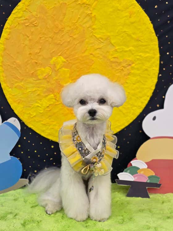 이따봐요 · 네이버 지도·플레이스 2