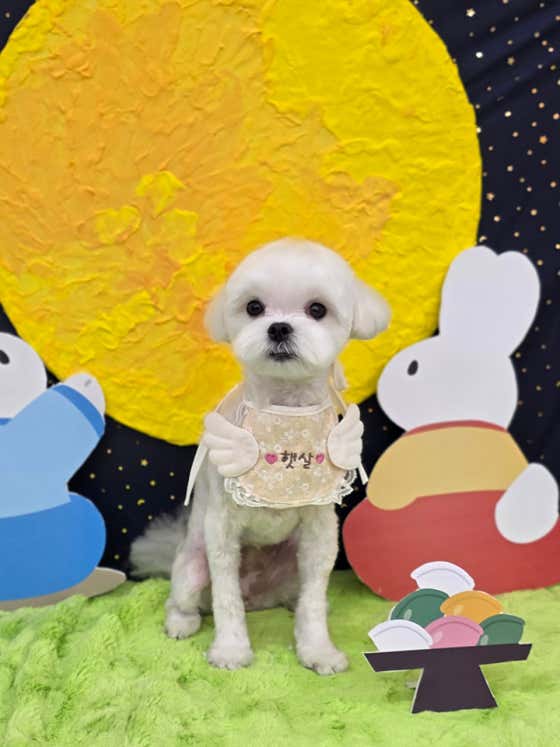 이따봐요 · 네이버 지도·플레이스 3