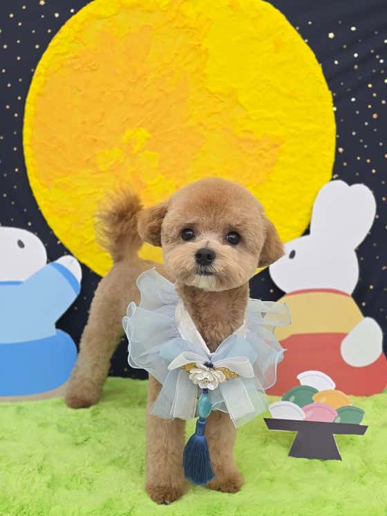 이따봐요 · 네이버 지도·플레이스 7