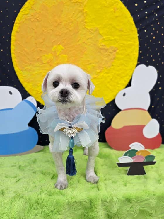 이따봐요 · 네이버 지도·플레이스 6