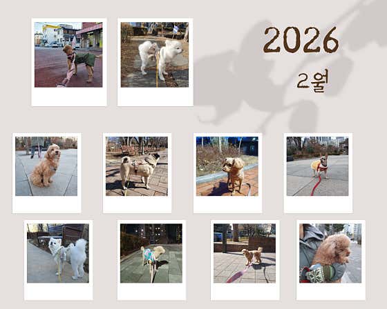코리 스테이 · 네이버 지도·플레이스 9