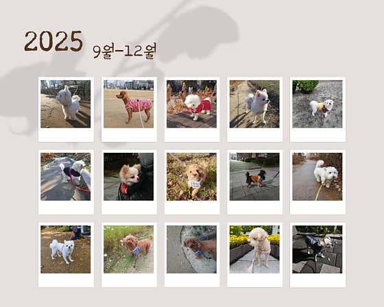 코리 스테이 · 네이버 지도·플레이스 10