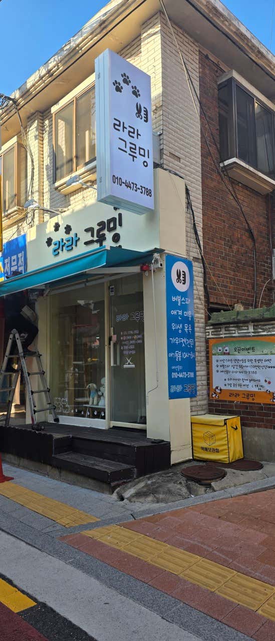 라라그루밍