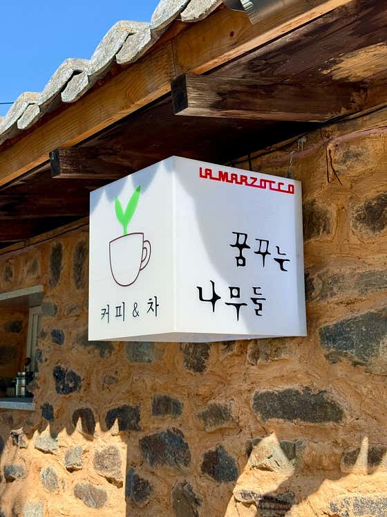 꿈꾸는 나무들 카페
