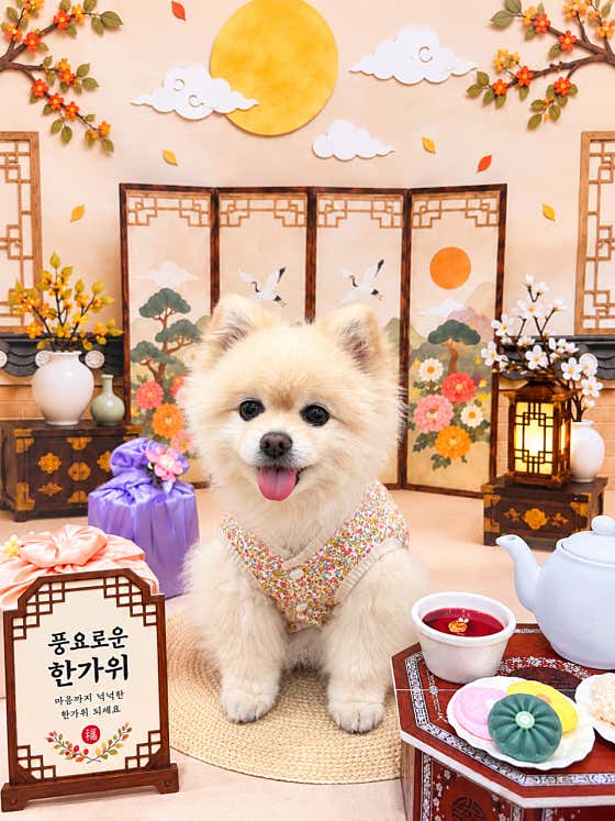 멍데이유치원 · 네이버 지도·플레이스 2