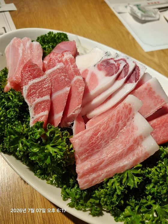 진어참치