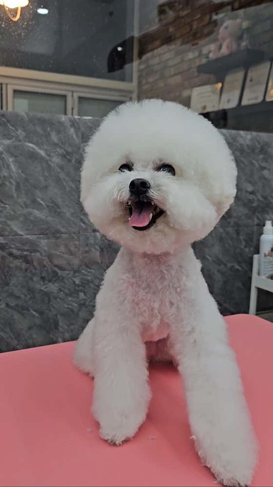댕댕구름 · 네이버 지도·플레이스 3