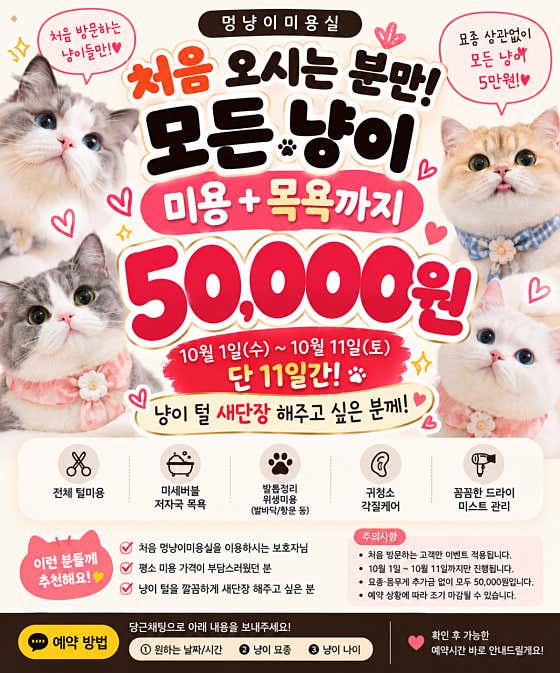 멍냥이미용실