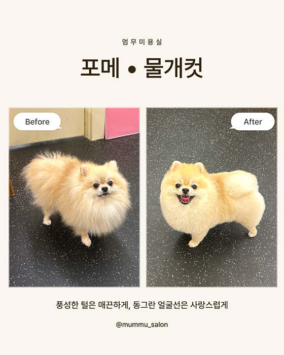 멈무미용실 · 네이버 지도·플레이스 3