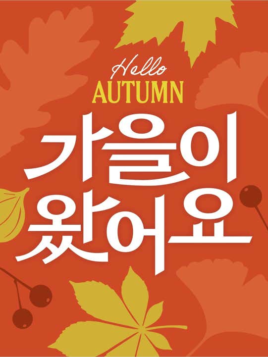 다이소 부산주례점