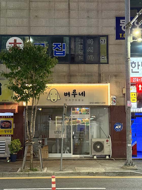 벼루네