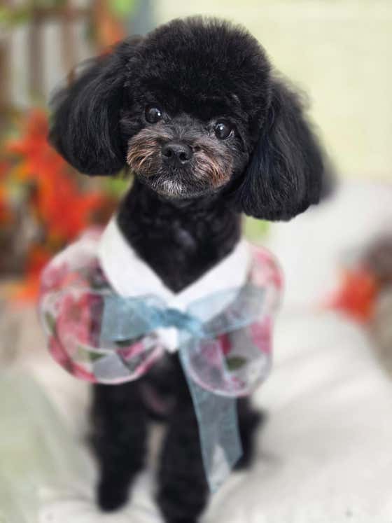 잼잼독 · 네이버 지도·플레이스 4