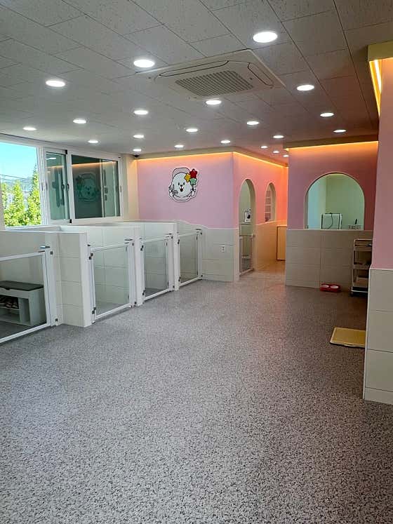 아따멍멍 미용앤호텔 인천동암점 · 네이버 지도·플레이스 3