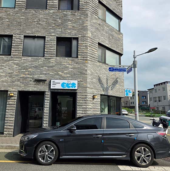 털단장 · 네이버 지도·플레이스 3