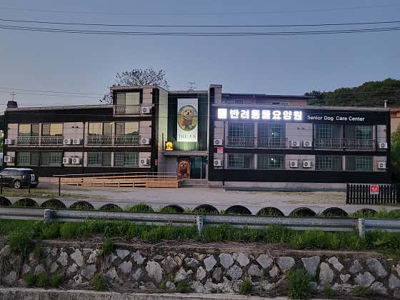 반려동물요양원 더 견우 · 네이버 지도·플레이스 5