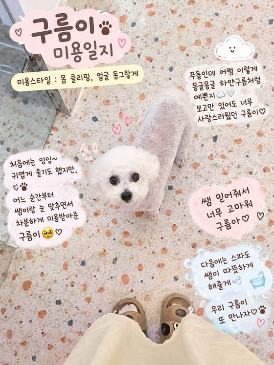 방긋방긋애견미용실 · 네이버 지도·플레이스 5