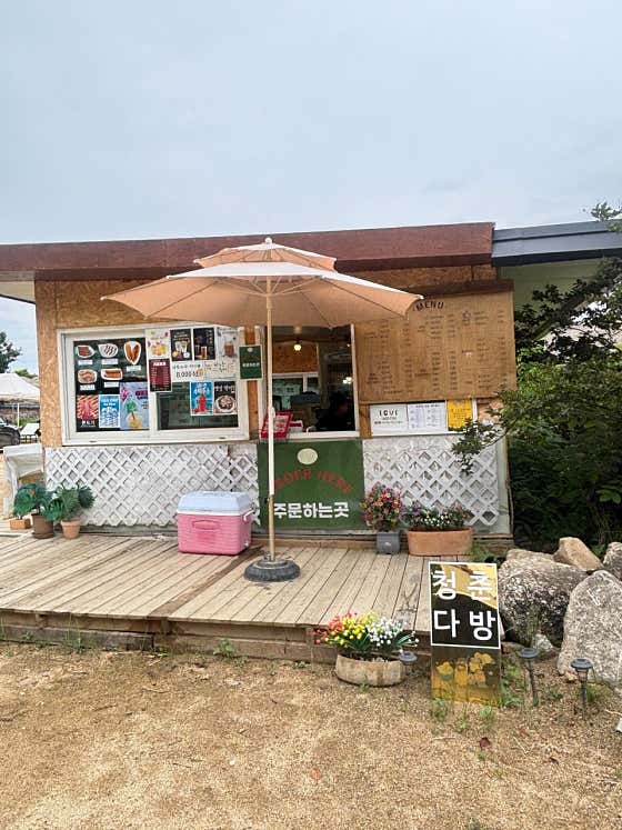청춘다방