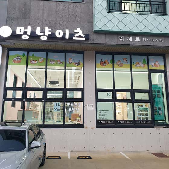 멍냥이츠