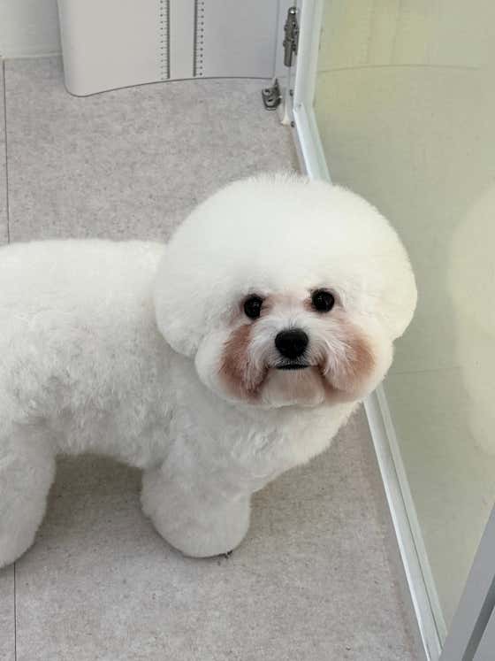 봄,여름 · 네이버 지도·플레이스 5