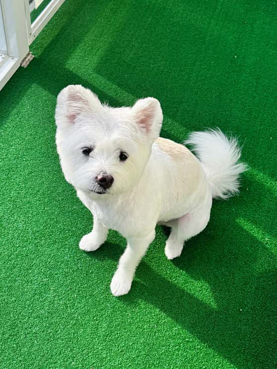 봄,여름 · 네이버 지도·플레이스 6