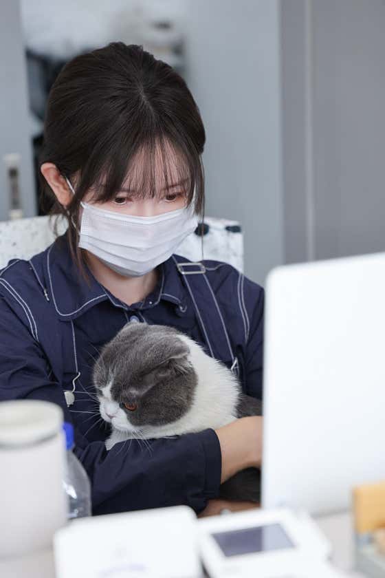 할로훈트
