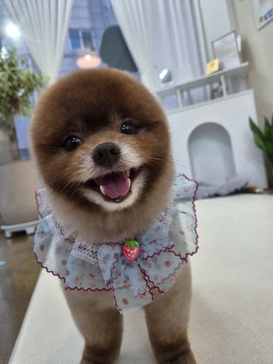 또보개 · 네이버 지도·플레이스 2