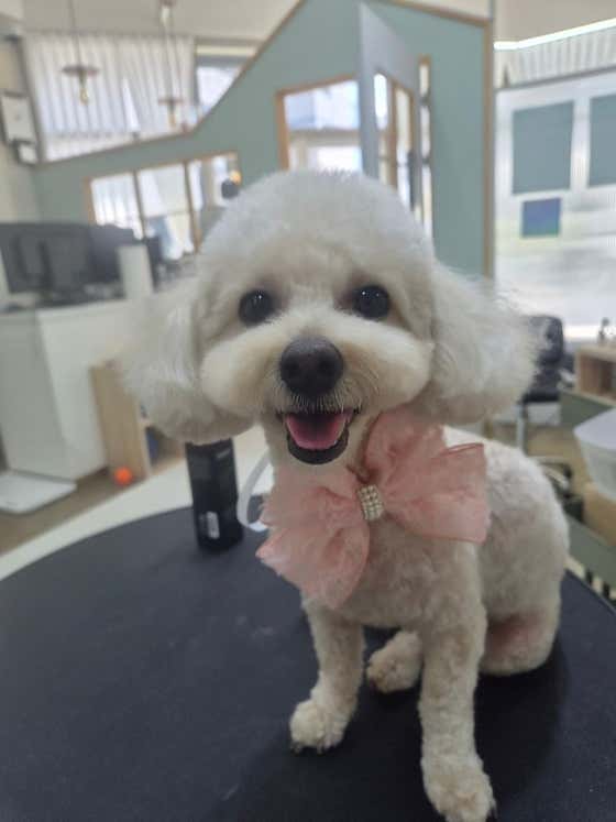 또보개 · 네이버 지도·플레이스 3