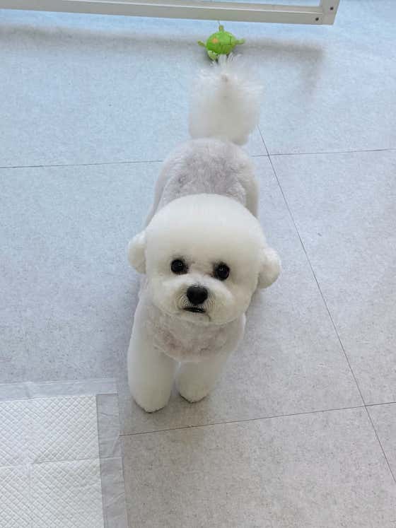 봄,여름 · 네이버 지도·플레이스 8