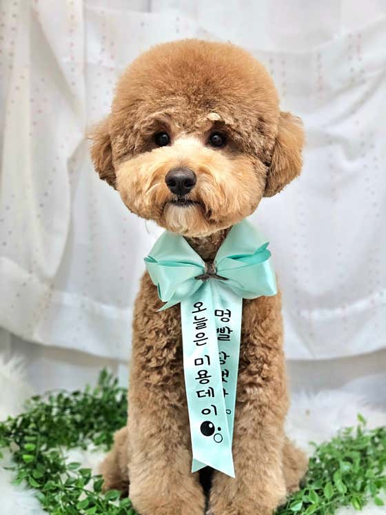 멍시앙 · 네이버 지도·플레이스 7