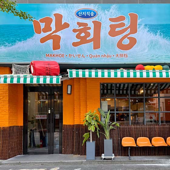 막회팅 봉선점