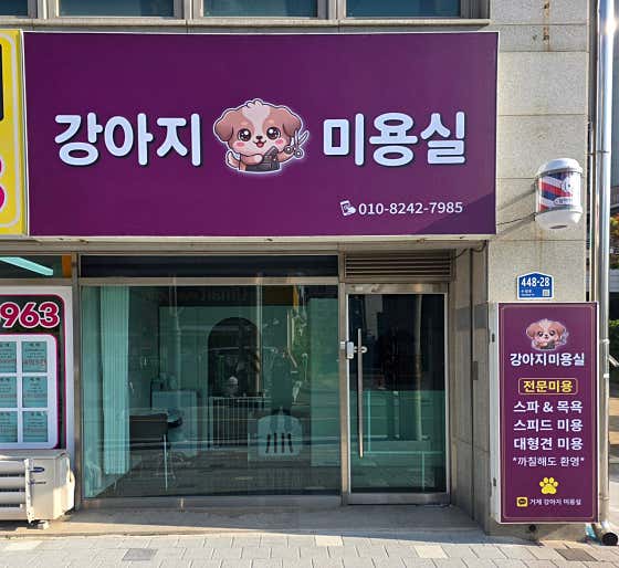 강아지 미용실