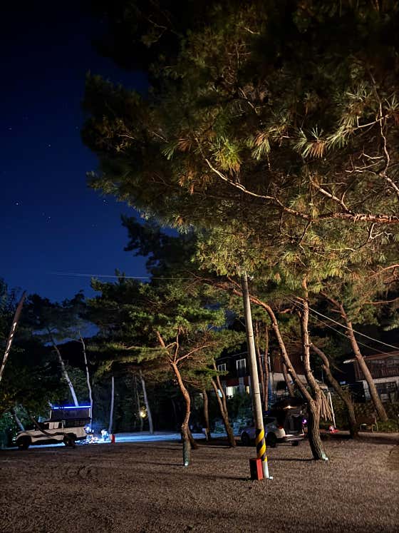 파이어메이플캠핑장 · 네이버 지도·플레이스 4