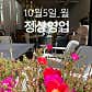 라스토리아1001 · 네이버 지도·플레이스 3