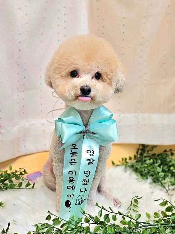 멍시앙 · 네이버 지도·플레이스 9