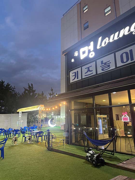 멍라운지 · 네이버 지도·플레이스 5