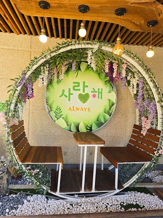 카페올웨이즈