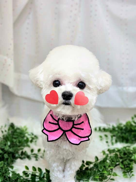 멍시앙 · 네이버 지도·플레이스 5