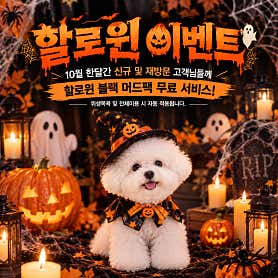 베베아몽 애견미용실 · 네이버 지도·플레이스 5