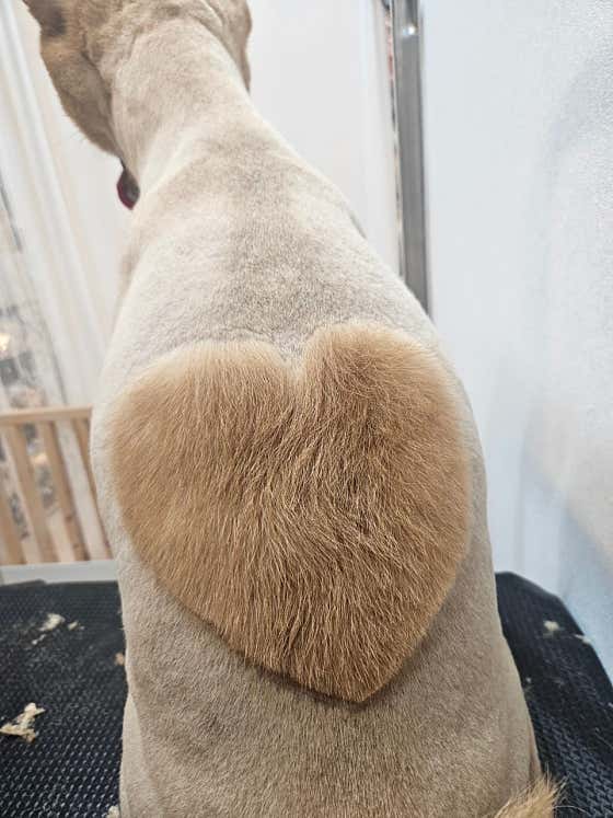 멍시앙 · 네이버 지도·플레이스 2