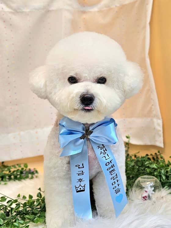 멍시앙 · 네이버 지도·플레이스 10