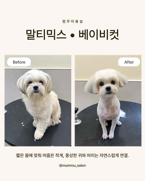 멈무미용실 · 네이버 지도·플레이스 2