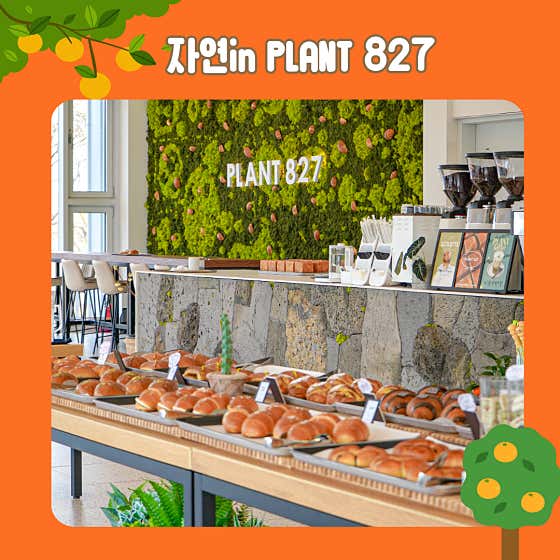 자연in PLANT827