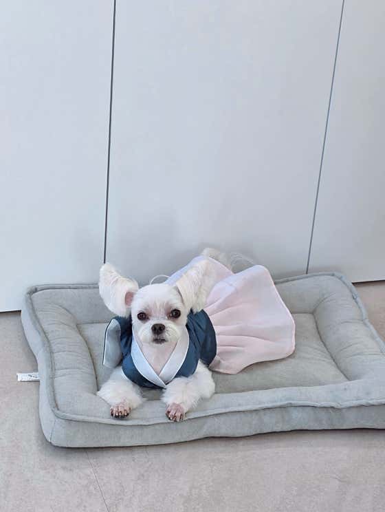 미소짓개 · 네이버 지도·플레이스 3
