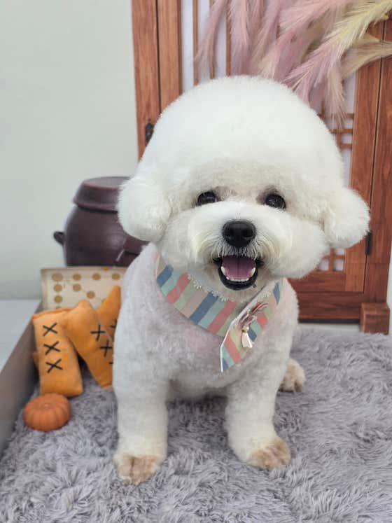 멍버샵 · 네이버 지도·플레이스 10